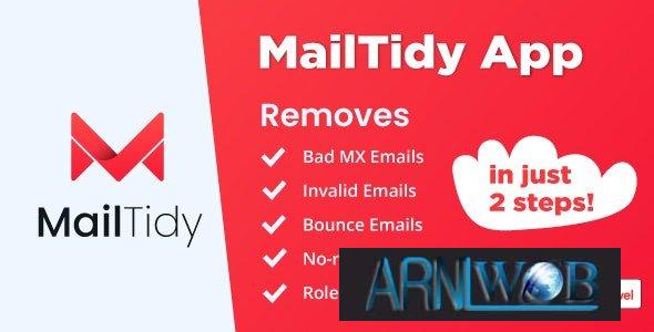 MailTidy Version 24 A Secure Email List Cleaning SAAS Application