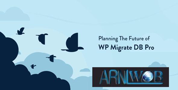 WP Migrate DB Pro version 270